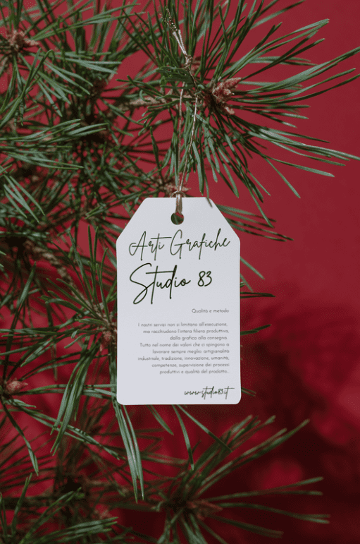 Stampati Fustellati e Sagomati Image of cartoncino fustellato 1 Stampati Fustellati e Sagomati Studio 83