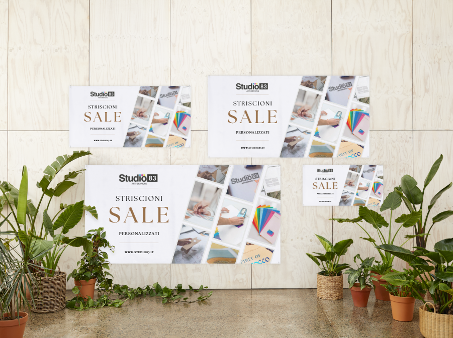 Strisicioni   Studio 83